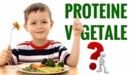 Proteinele vegetale in alimentatia copiilor